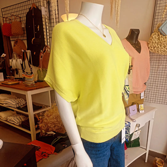 Blusa